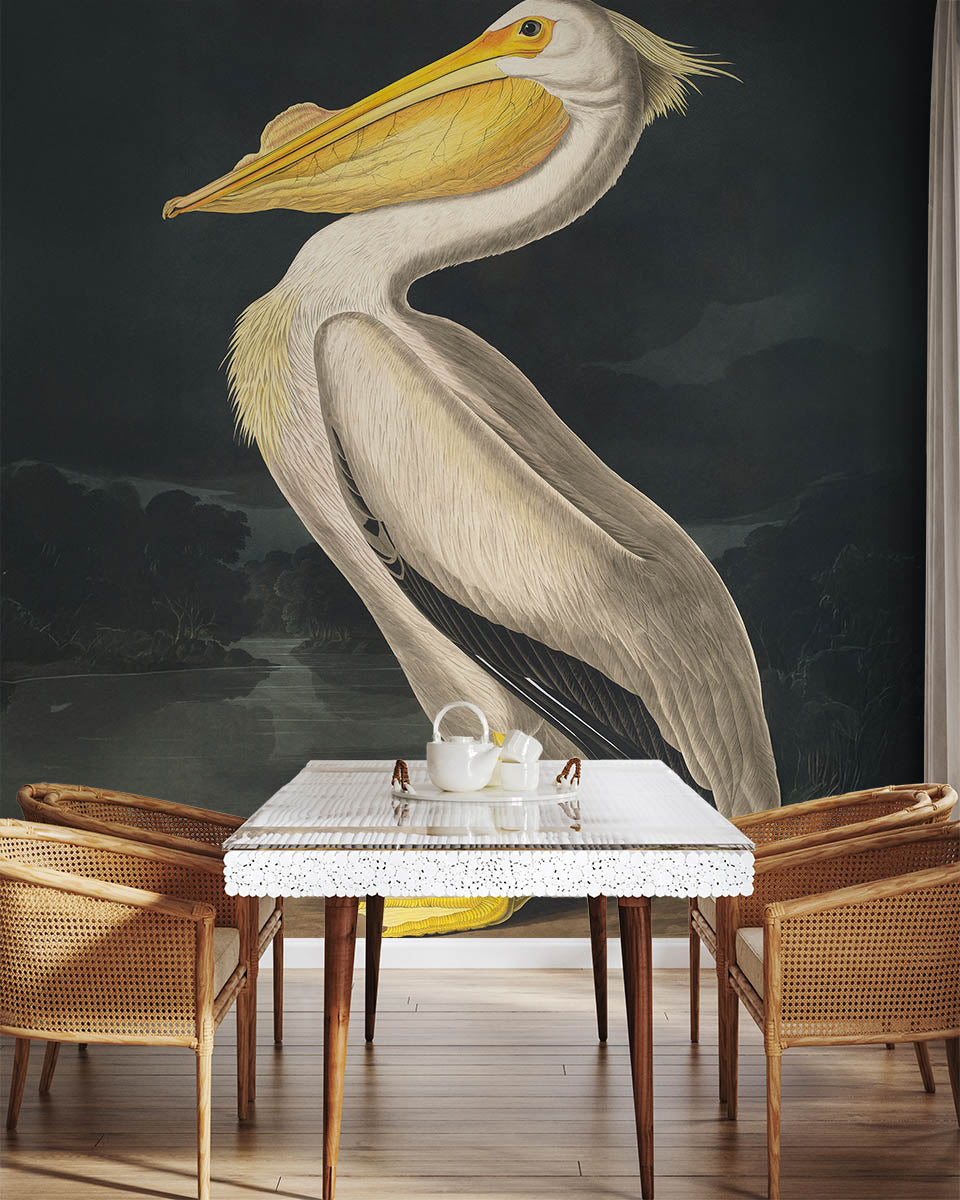 Regal Pelican Portrait