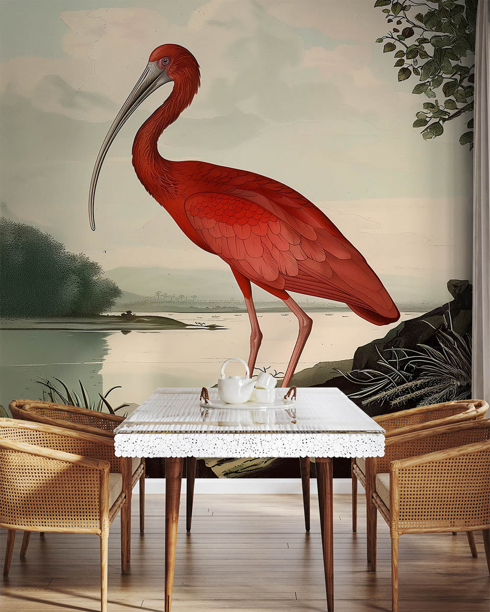Scarlet Plume Ibis
