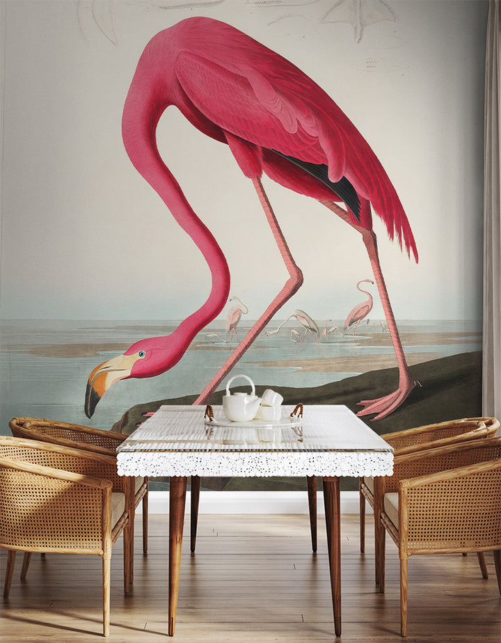 Graceful Flamingo Elegance