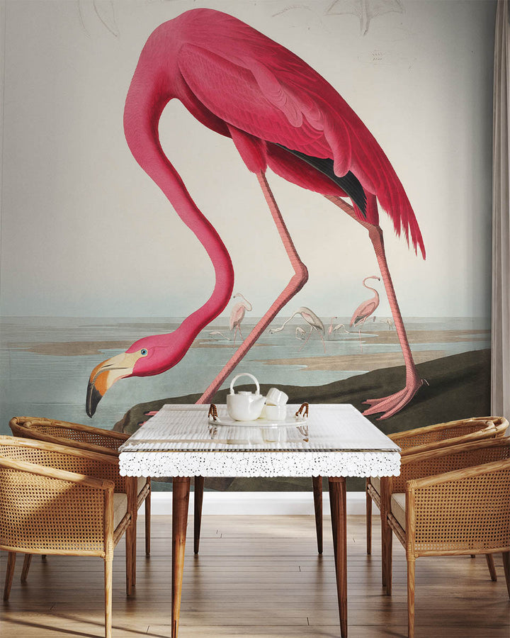 Graceful Flamingo Elegance