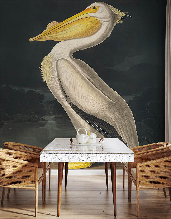 Regal Pelican Portrait