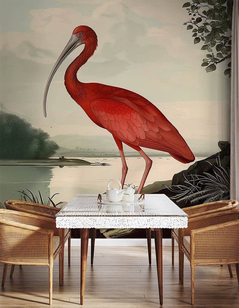 Scarlet Plume Ibis