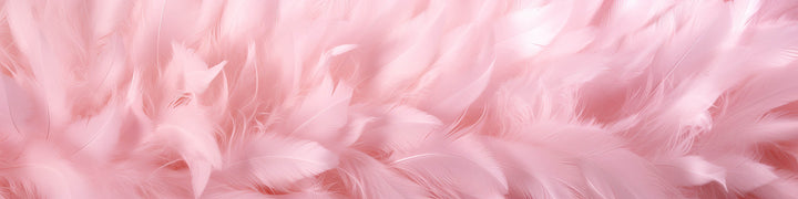 Blush Feather Whisper