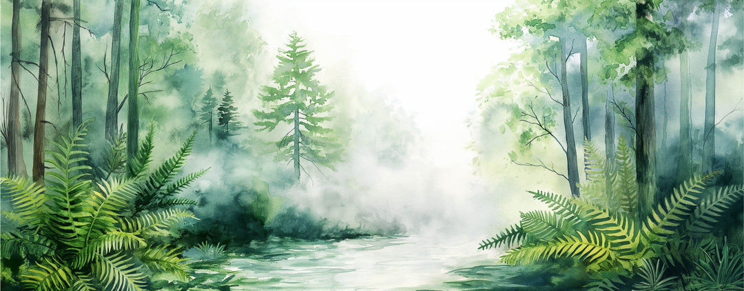 Tranquil Forest Escape