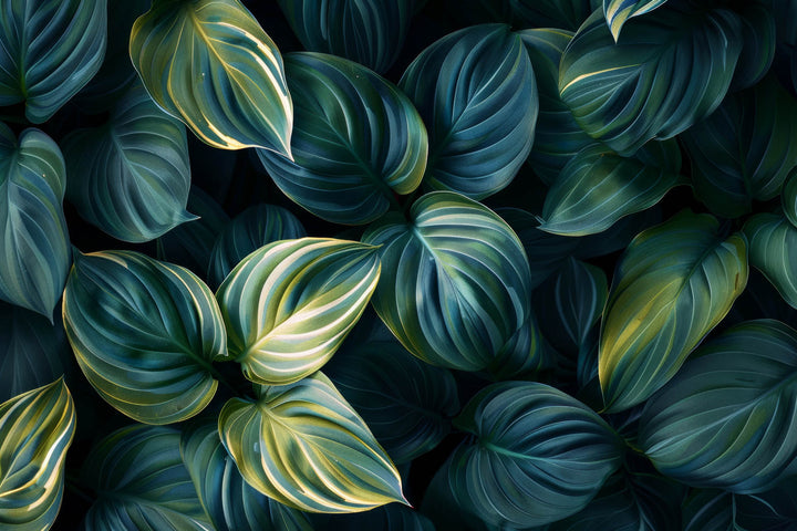 Lush Emerald Canopy