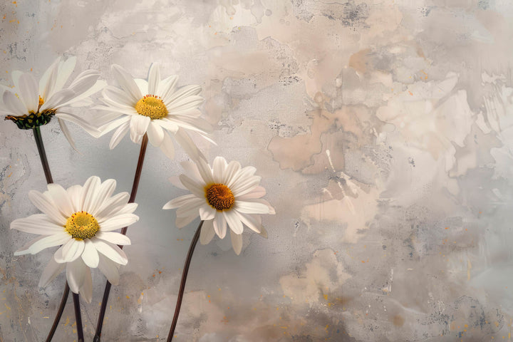 Gentle Daisy Abstract