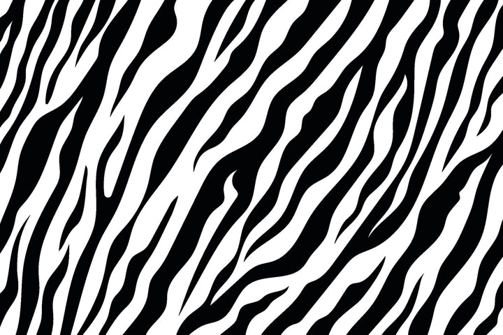 Classic Zebra Stripes