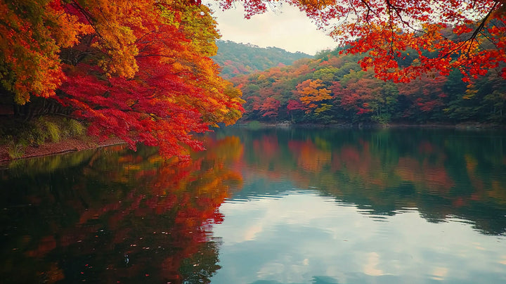 Autumn Lake Reflections