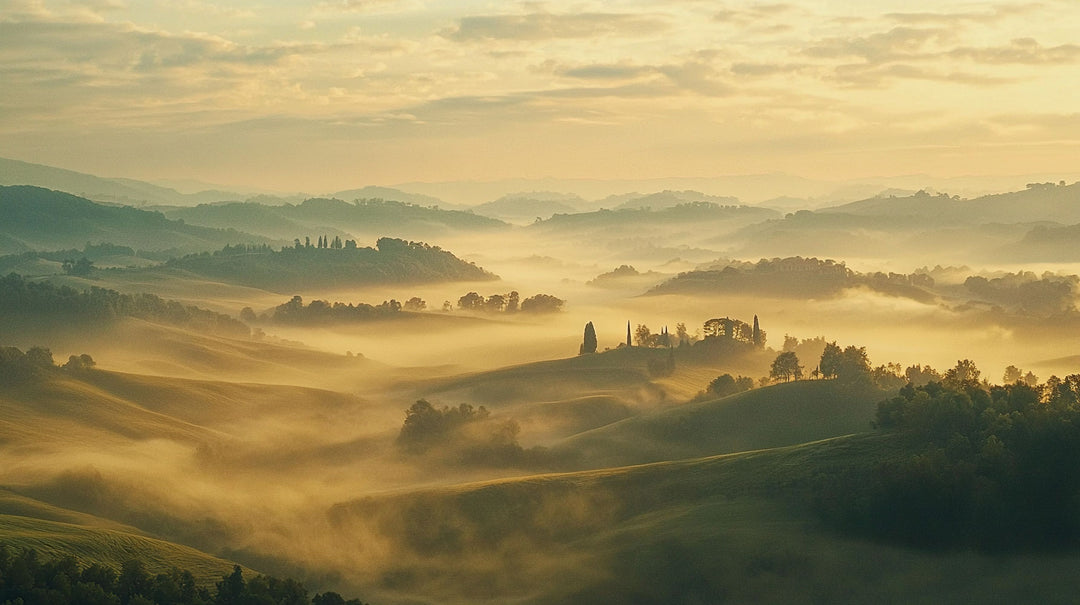 Misty Hillside Haven