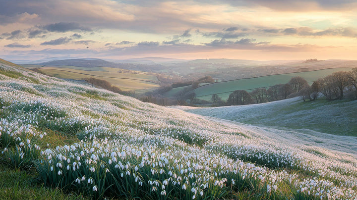 Spring's Gentle Awakening