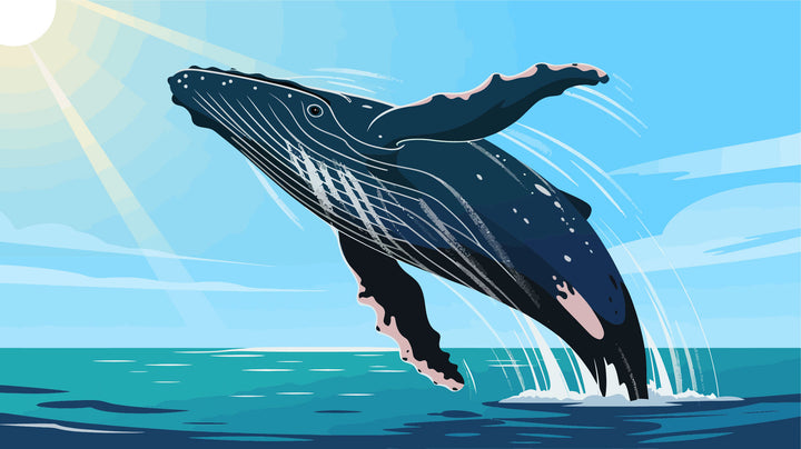 Ocean Leap of Freedom